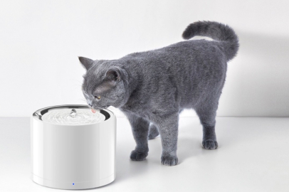 PETKIT, Yeni Nesil Akıllı Su Pınarlarıyla Evcil Hayvanların Su Tüketimini Daha Hijyenik ve Güvenli Hale Getiriyor
