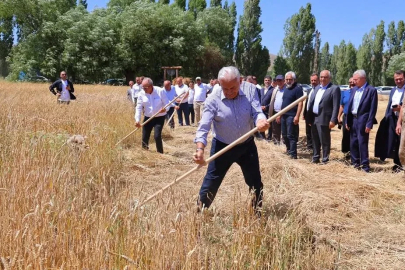 Binali Yıldırım, geleneksel ‘Harman Şenliği’nde tırpanla ekin biçti